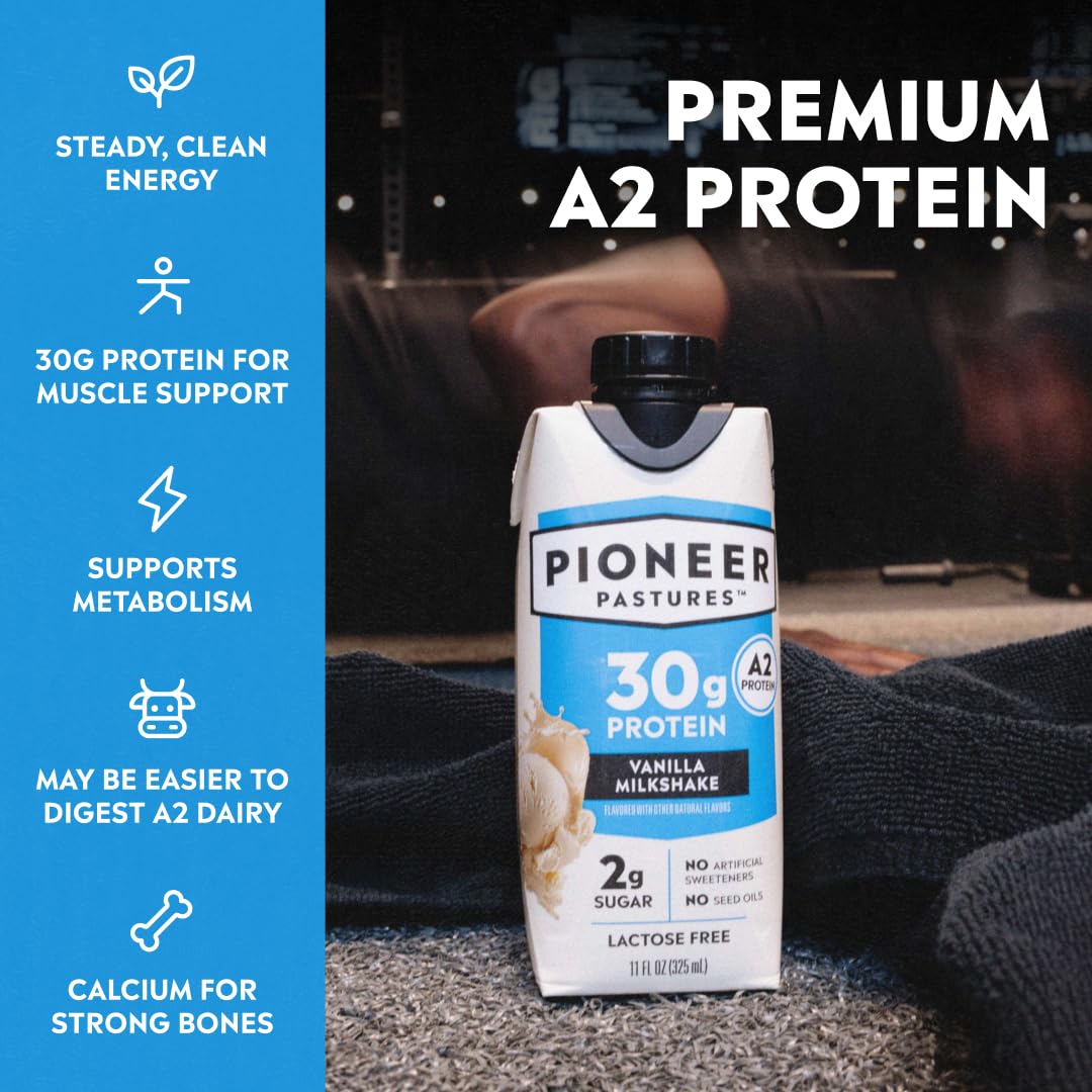 Pioneer Pastures High Protein A2 Milkshakes, Chocolate, 11oz, 12 Pack | A2 Protein Shake, 30g Protein, Ultra-Filtered, Lactose Free, 2g Sugar, No Seed Oils, No Artificial Sweeteners