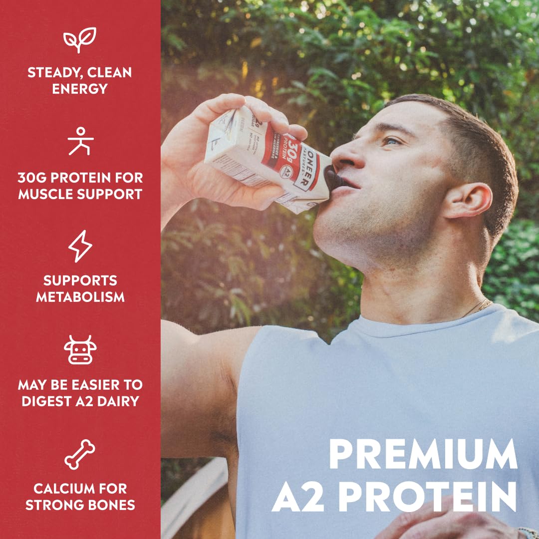Pioneer Pastures High Protein A2 Milkshakes, Chocolate, 11oz, 12 Pack | A2 Protein Shake, 30g Protein, Ultra-Filtered, Lactose Free, 2g Sugar, No Seed Oils, No Artificial Sweeteners