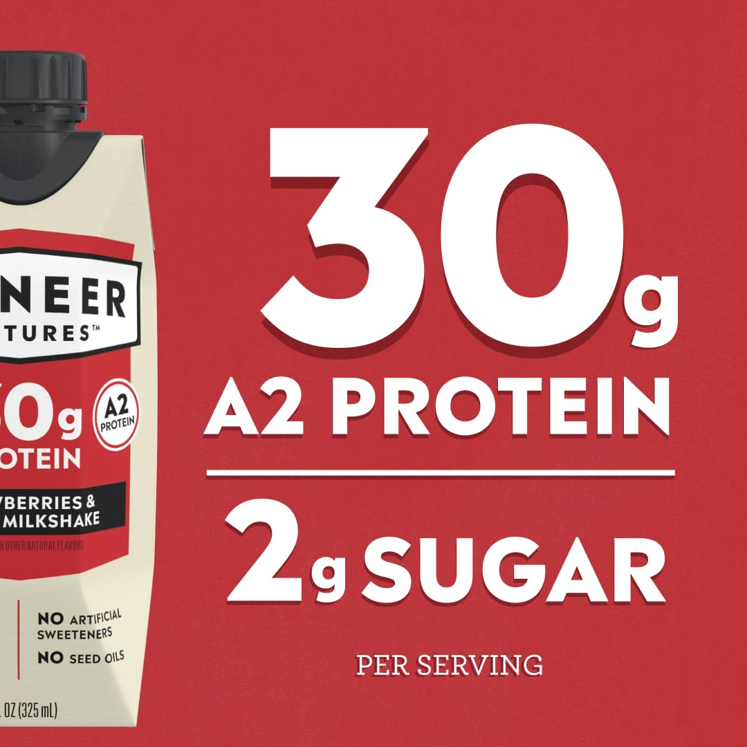 Pioneer Pastures High Protein A2 Milkshakes, Chocolate, 11oz, 12 Pack | A2 Protein Shake, 30g Protein, Ultra-Filtered, Lactose Free, 2g Sugar, No Seed Oils, No Artificial Sweeteners
